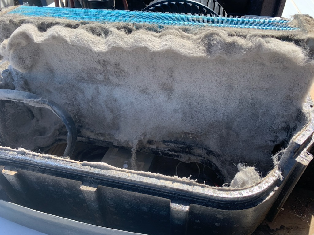 A/C coil packed with pet hair and dander